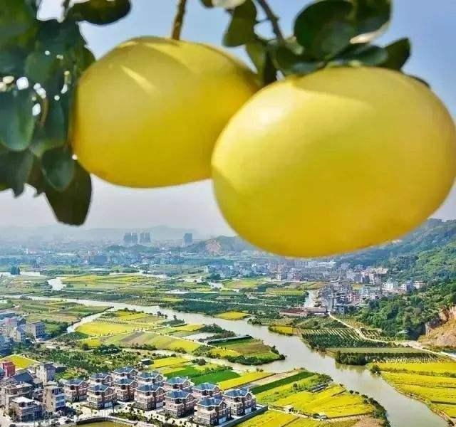 一年中哪个季节最好？苏轼28字古诗给出了自己的答案休闲区蓝鸢梦想 - Www.slyday.coM