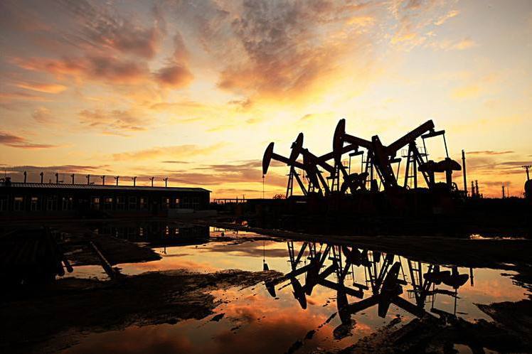 2021年练好内功依旧是油气企业发展的战略主题