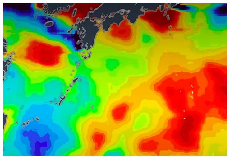 近700 种水生物种受影响,解决海洋塑料污染迫在眉睫