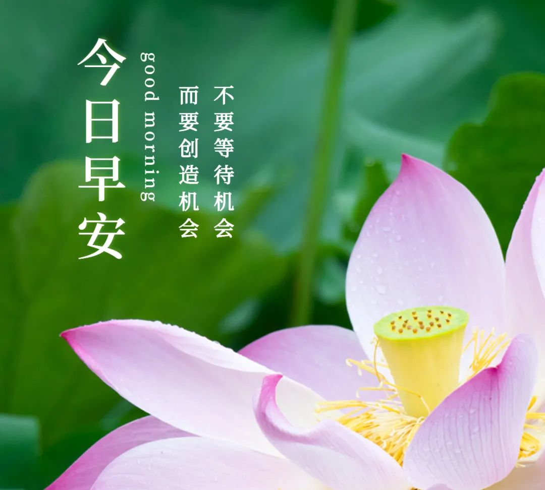 早安最美图片说说不俗的早安文案经典句子