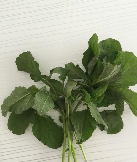 大鱼大肉吃腻了,来点"东洋菜"试试,很多人不认识!