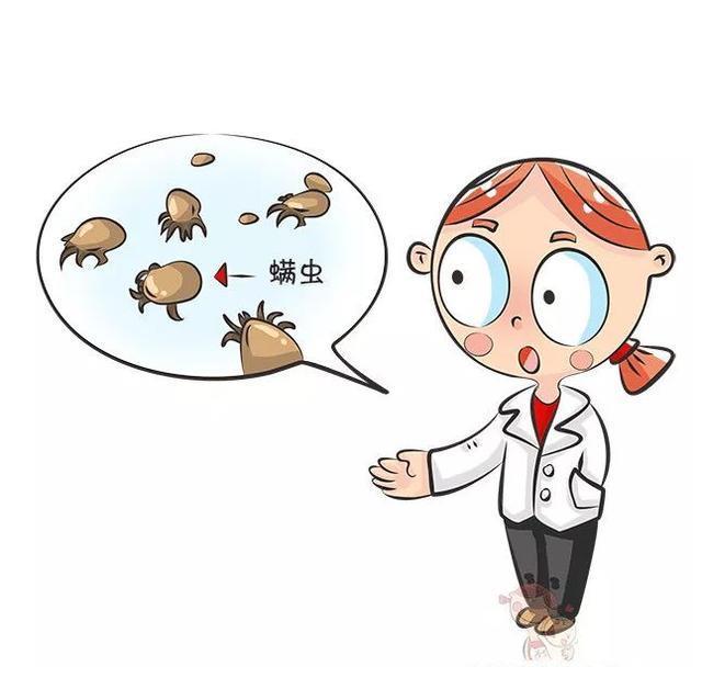 六百万螨虫天天陪你睡,医生:宝宝身上"红疙瘩"可能就是螨虫包