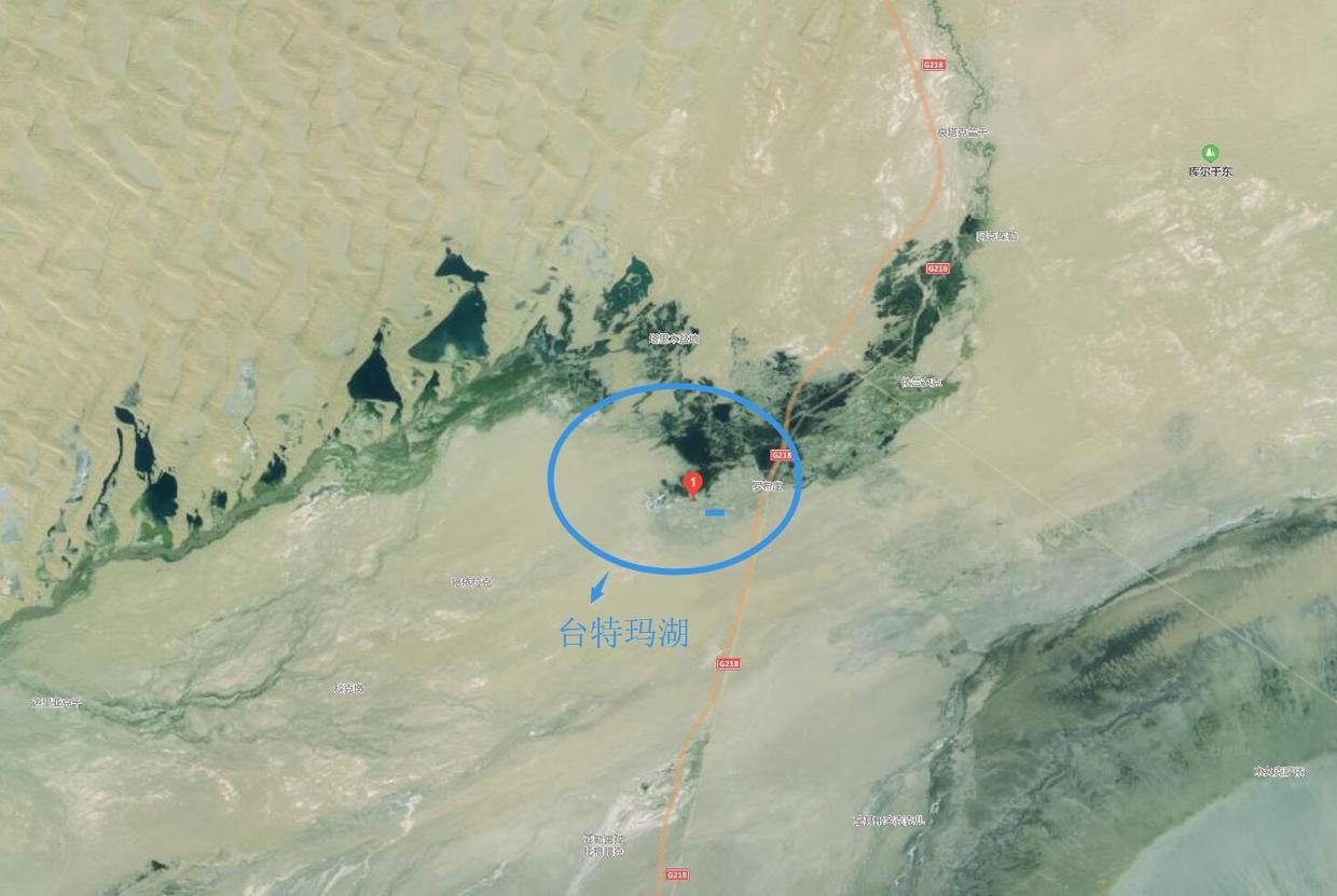新疆若羌县台特玛湖行记:沙漠变绿洲,印证卫星地图的旅行体验