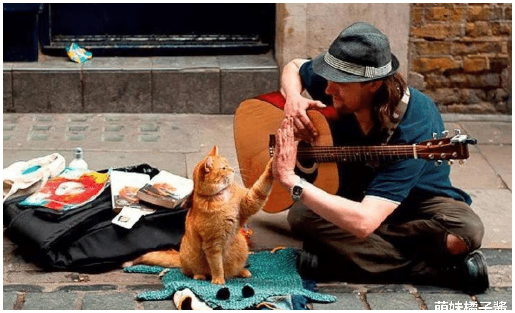 流浪猫鲍勃人生处处有转机和希望不到终点没人知道结局
