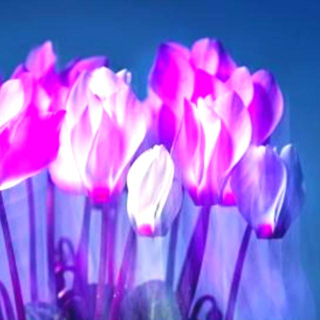 天秤座:好看的皮囊千篇一律,有趣的灵魂万里挑一休闲区蓝鸢梦想 - Www.slyday.coM 天秤座:好看的皮囊千篇一律,有趣的灵魂万里挑一休闲区蓝鸢梦想 - Www.slyday.coM