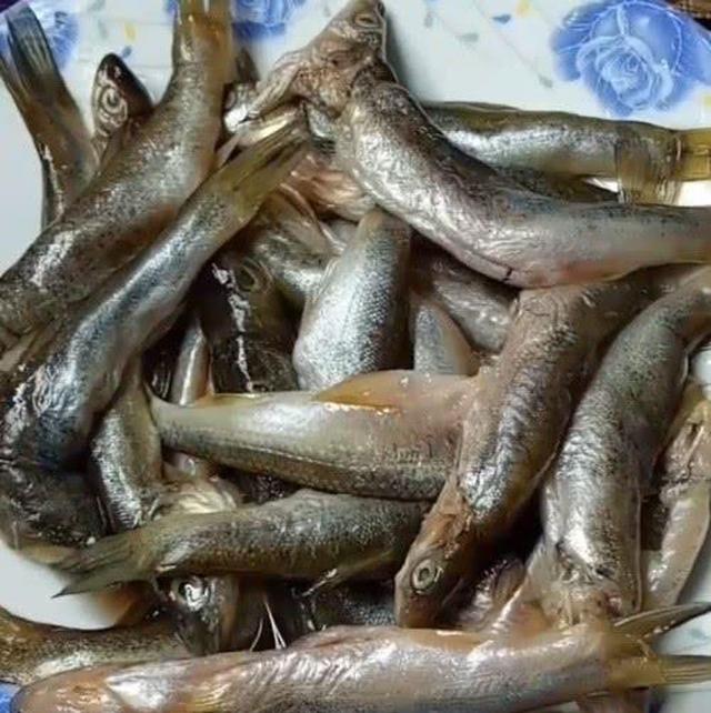 这鱼很奇怪个头大的没人要个头小的最畅销35一斤都抢着买