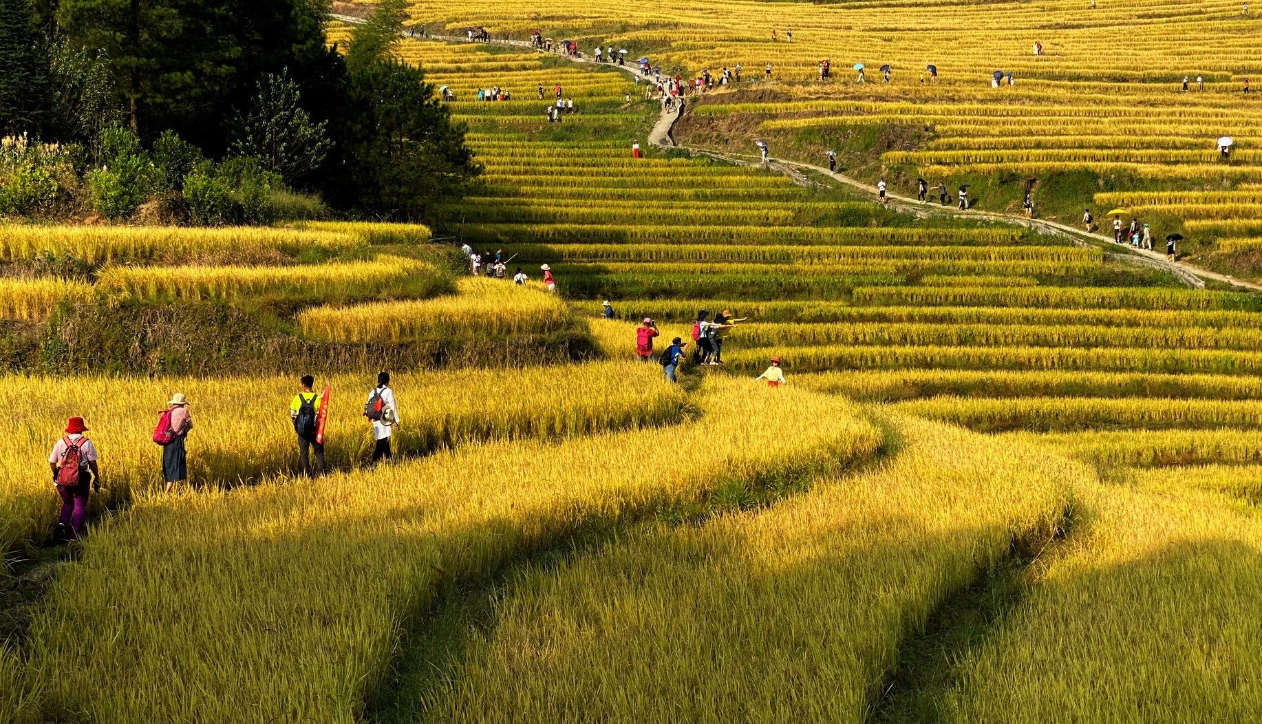 1 / 14 欧家梯田位于广东省清远市连山县大雾山脚下,有中国"十大最美