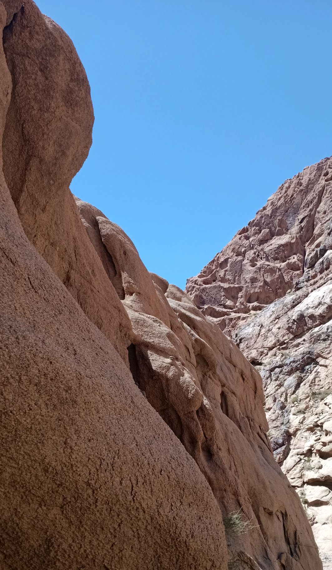 新疆野人谷奇观欣赏_高清图集_新浪网