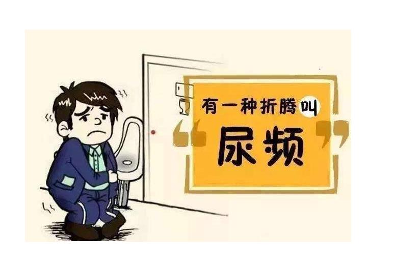 尿频肯定是前列腺出了问题？不一定，6个原因都有可能！休闲区蓝鸢梦想 - Www.slyday.coM