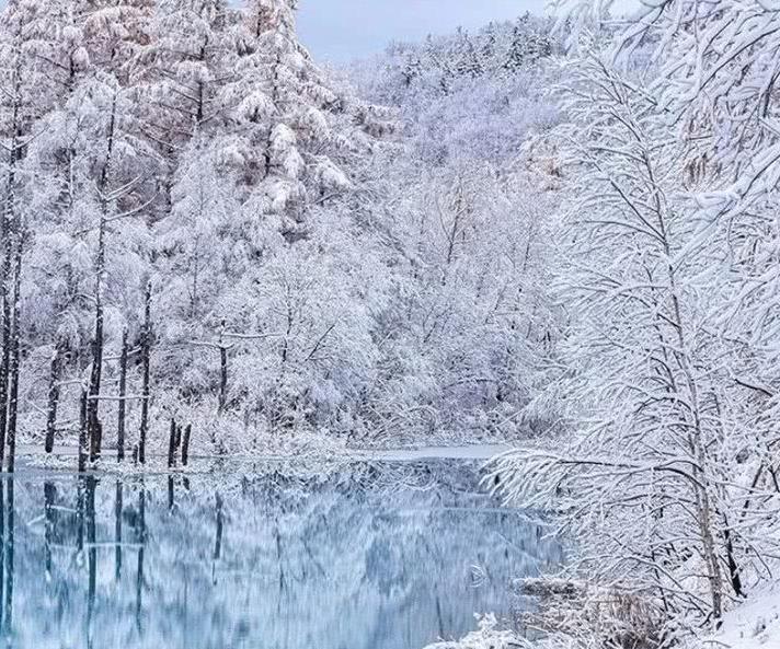 北海道美瑛 冬季最纯粹的雪景 遇见世界上最浪漫的铁路 美瑛 雪景 北海道 新浪新闻