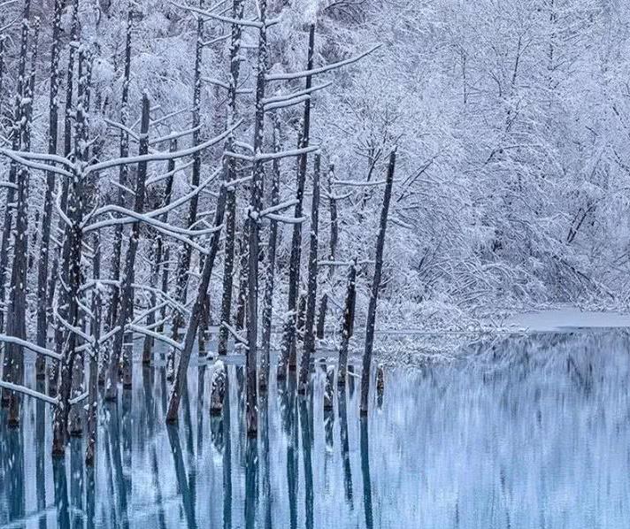 北海道美瑛 冬季最纯粹的雪景 遇见世界上最浪漫的铁路 美瑛 雪景 北海道 新浪新闻 北海道美瑛 冬季最纯粹的雪景 遇见世界上最浪漫的铁路 美瑛 雪景 北海道 新浪新闻