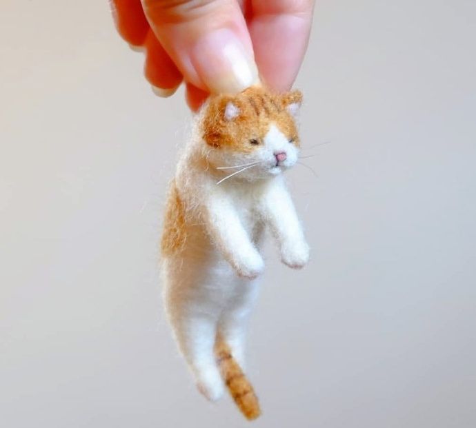 被扼住命运后颈皮的小可爱们～很萌萌的小可爱表情