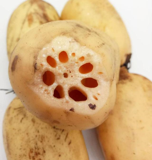 牢记这几个小窍门,保证莲藕一挑一个准__财经头条