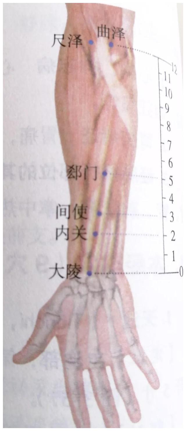 每日一穴……大陵穴__财经头条