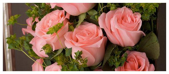 下半年运势将会阴转晴,告别霉运,迎来好运的四大星座休闲区蓝鸢梦想 - Www.slyday.coM 下半年运势将会阴转晴,告别霉运,迎来好运的四大星座休闲区蓝鸢梦想 - Www.slyday.coM