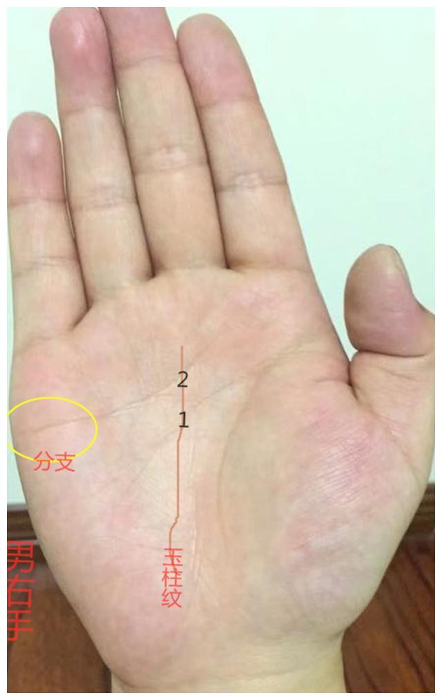 手相断掌纹:先难后易,35岁后事业明显起色的特征|断掌纹|手相|起色