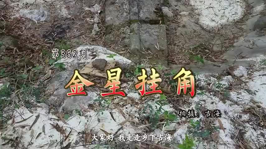 在广东电白非常罕见的陈氏金星挂角古墓为石棺采用吐葬法