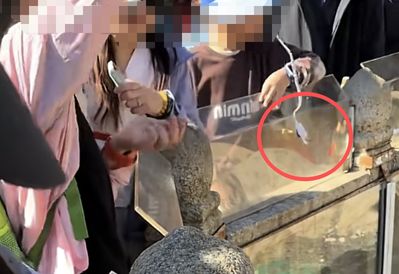 多名孩子利用智能手表充电线上的磁铁，打捞山东泰山许愿池内硬币