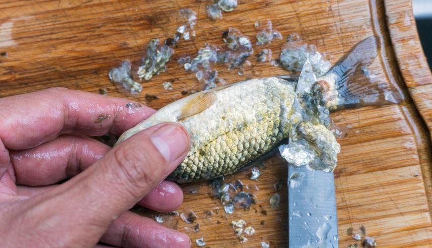 鲫鱼别再煮汤了一个小窍门营养翻倍好吃到鱼刺都不剩别错过