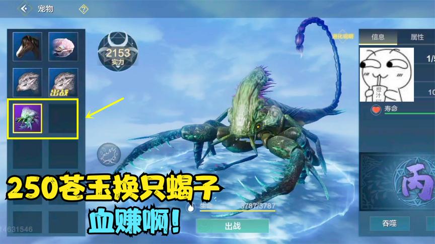 妄想山海:250苍玉换一只800年刺尾蝎,又是稳赚不亏的一天