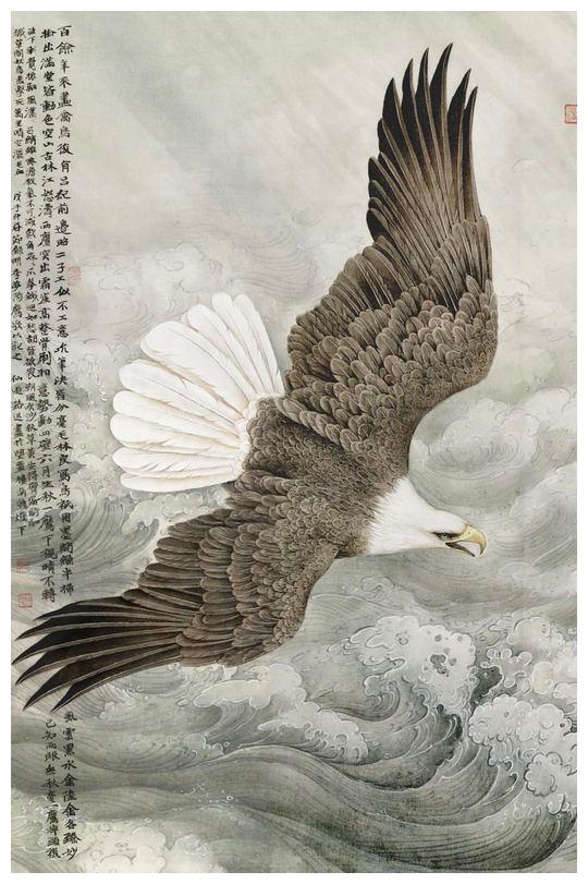 大鹏展翅恨天低