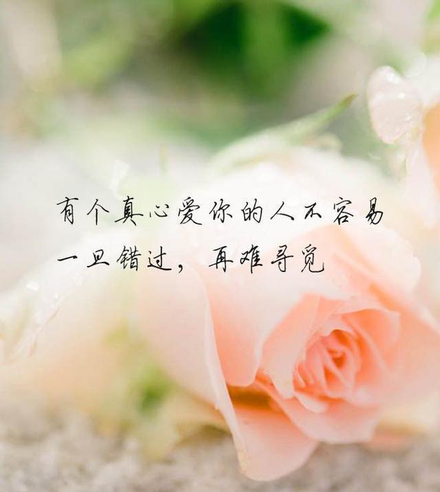 我从没忘记你,但不会再主动找你了|痴念|深情|佛语_新浪新闻