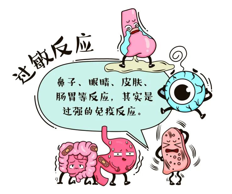 “过敏”竟是免疫反应过强的最常见情况?