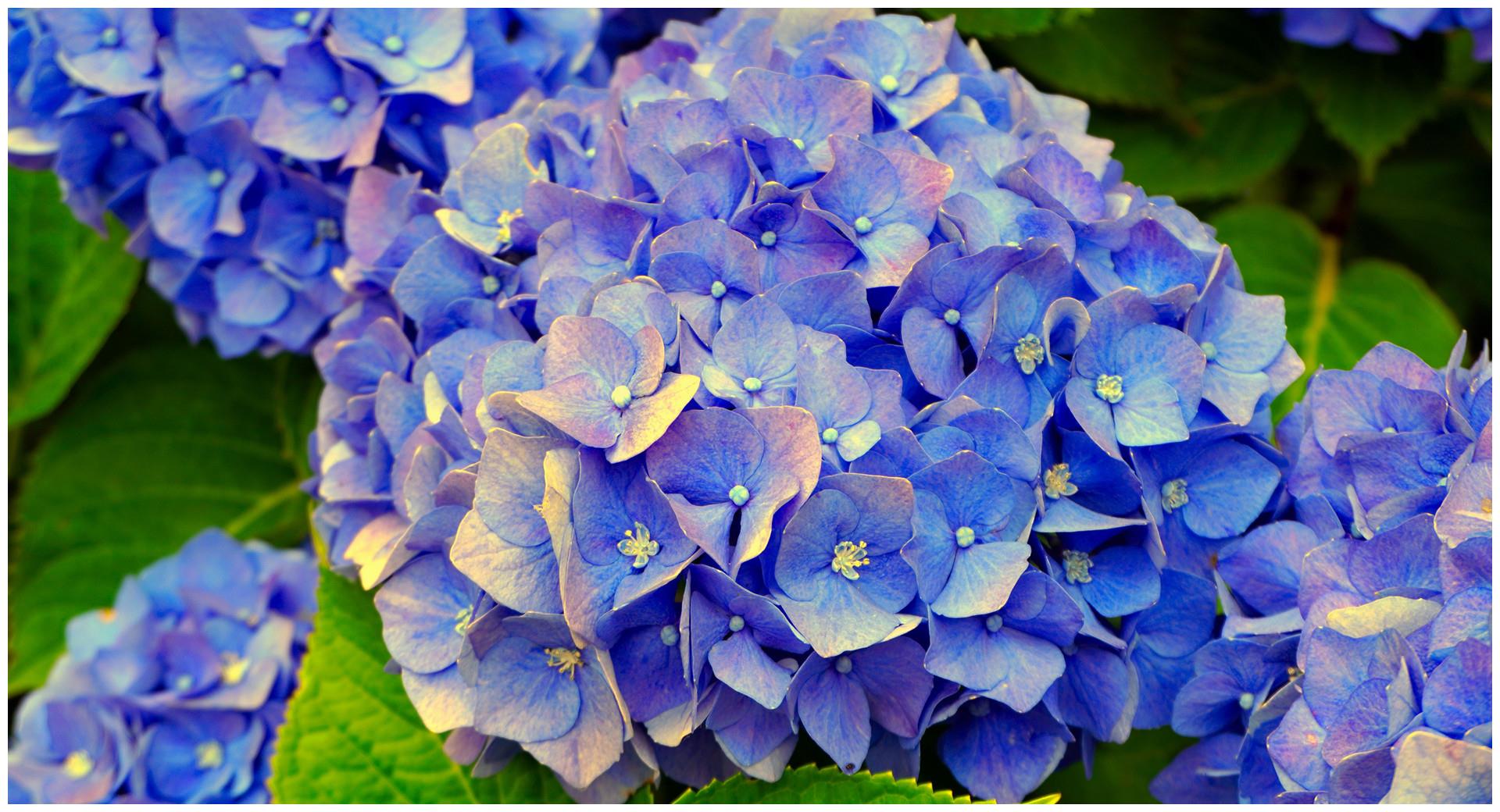 属猪人:"了不起"未来7天,有一消息,是囍?是悲?