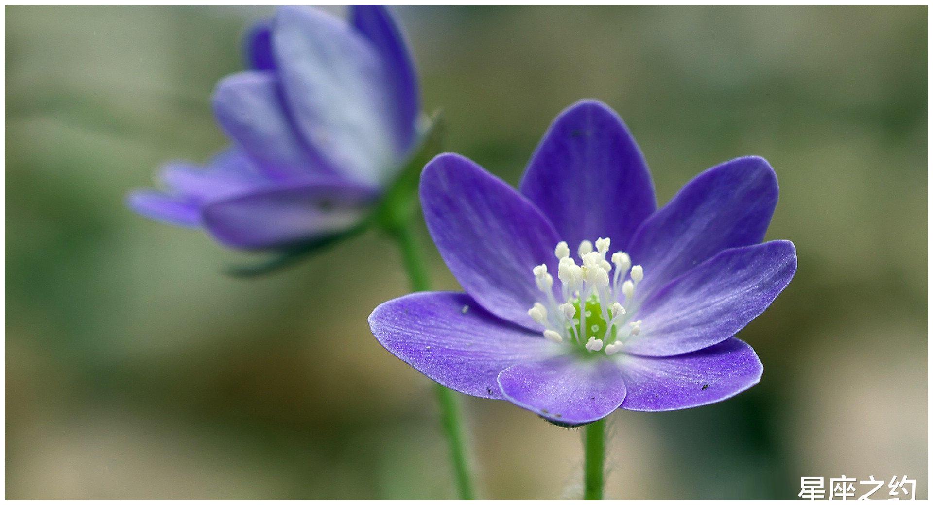 4月17日 21日星座运势 双子座全力以赴 射手座相处融洽 财经头条