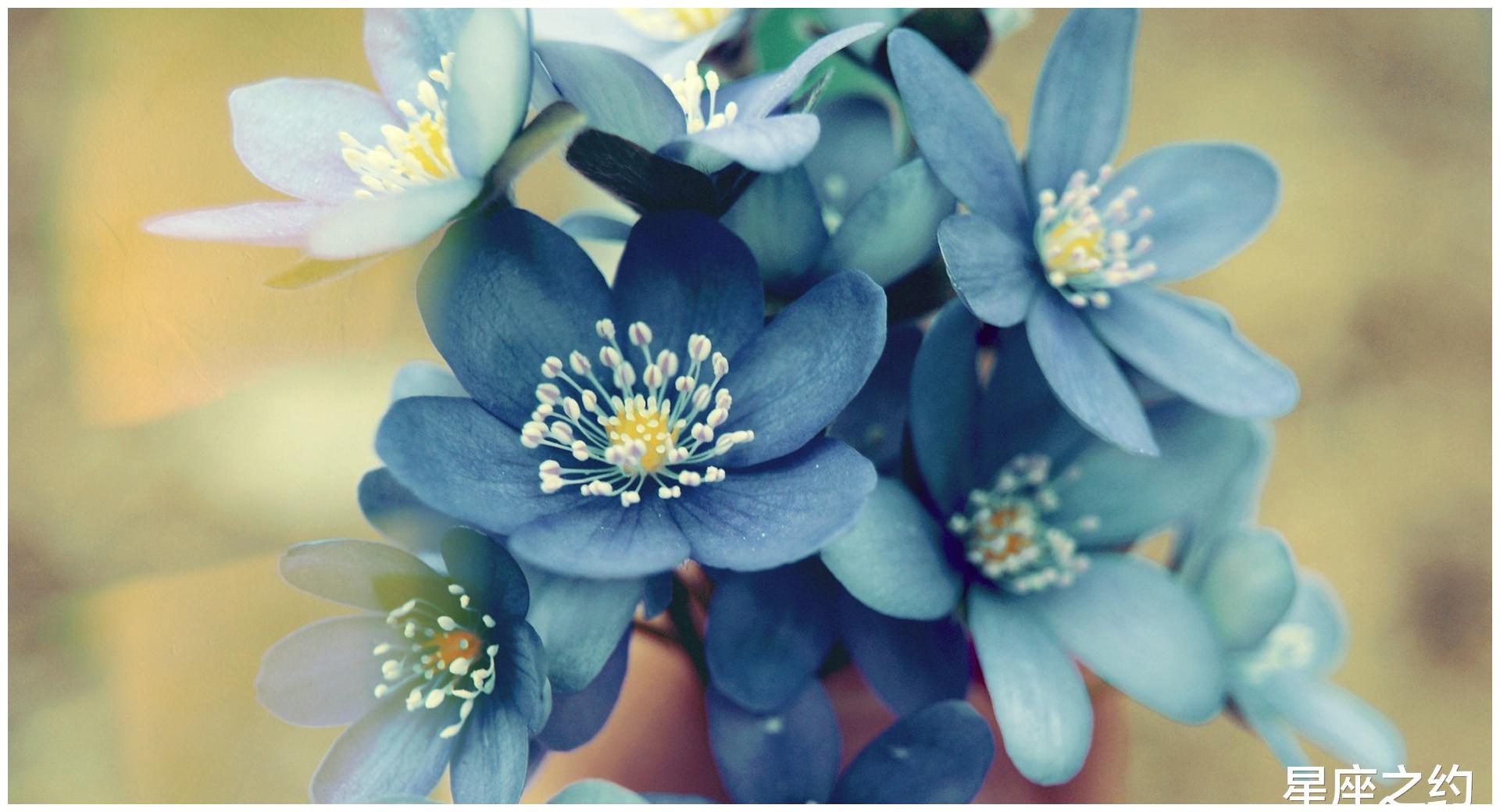 5月8日星座运势 金牛贵人相助 天秤另眼相看 射手执行力强 财经头条