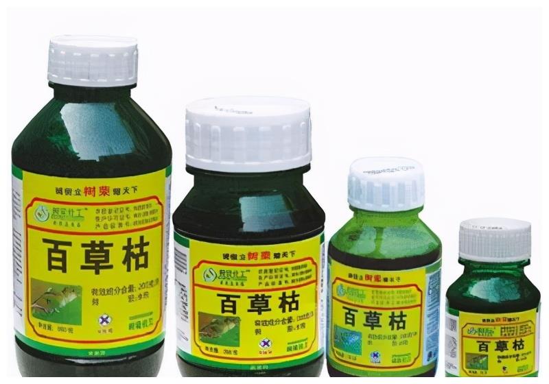 13岁女孩喝下百草枯 病情突然恶化 百草枯禁售 为何还能买到呢?