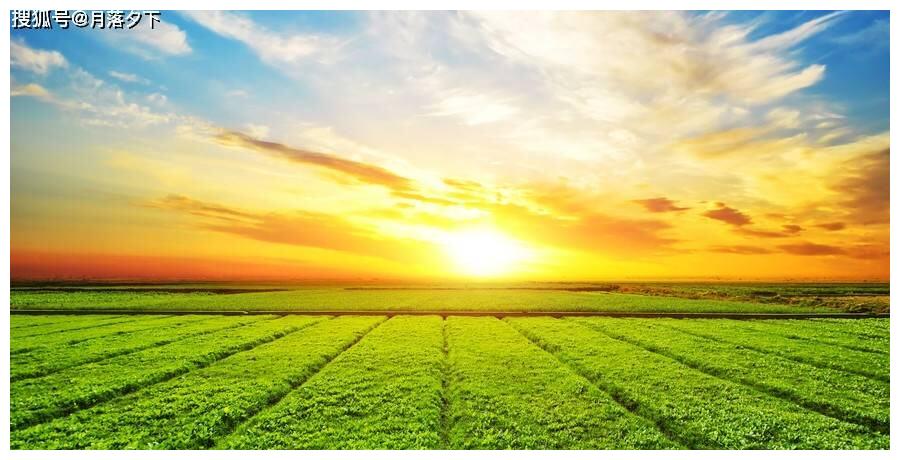 7天内3属相财运亨通,喜笑颜开,贵人登门,非官即贵|桃花|生肖蛇|生肖虎