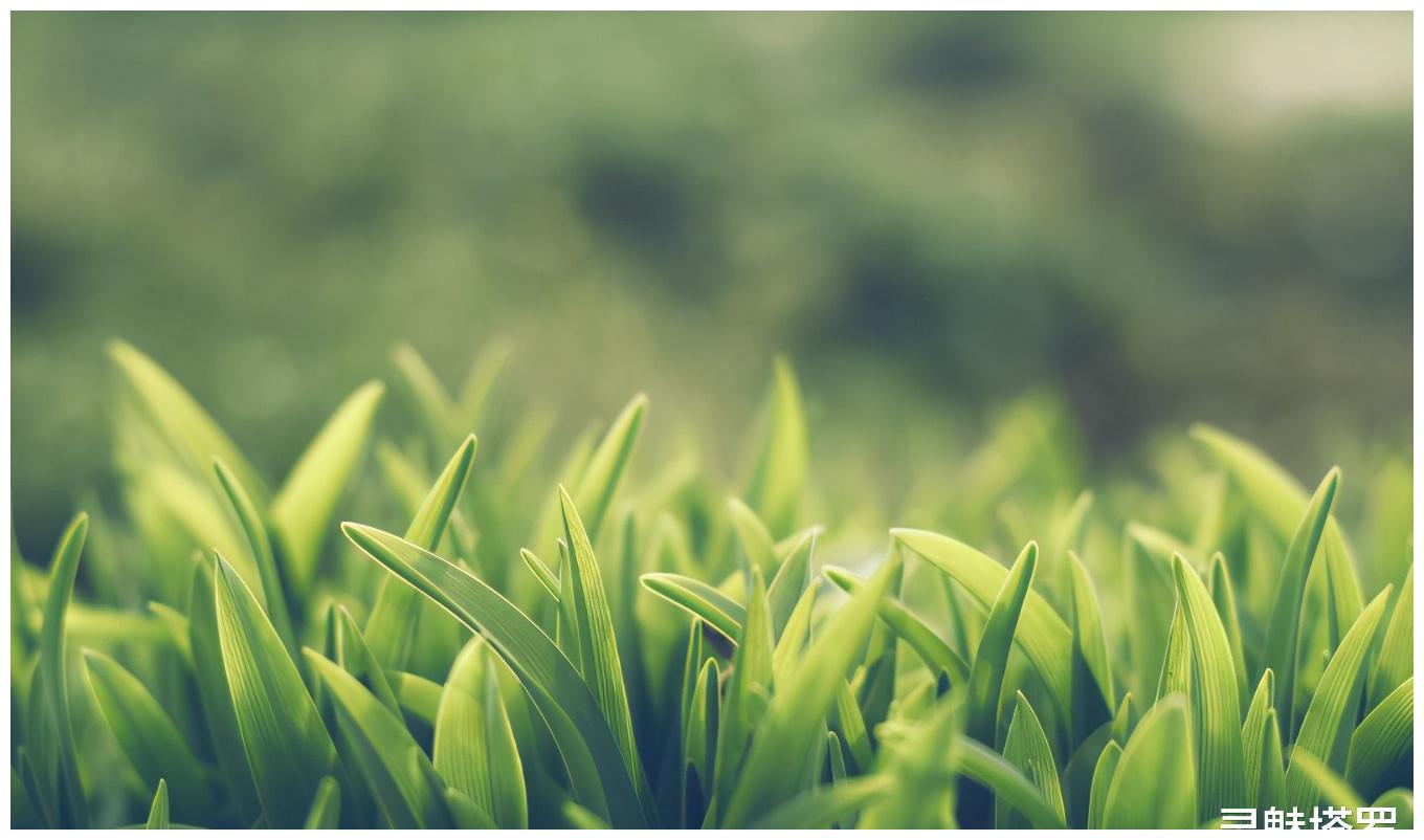 灵魅塔罗处女座2021年5月运势这次真的受伤了会比较纠结