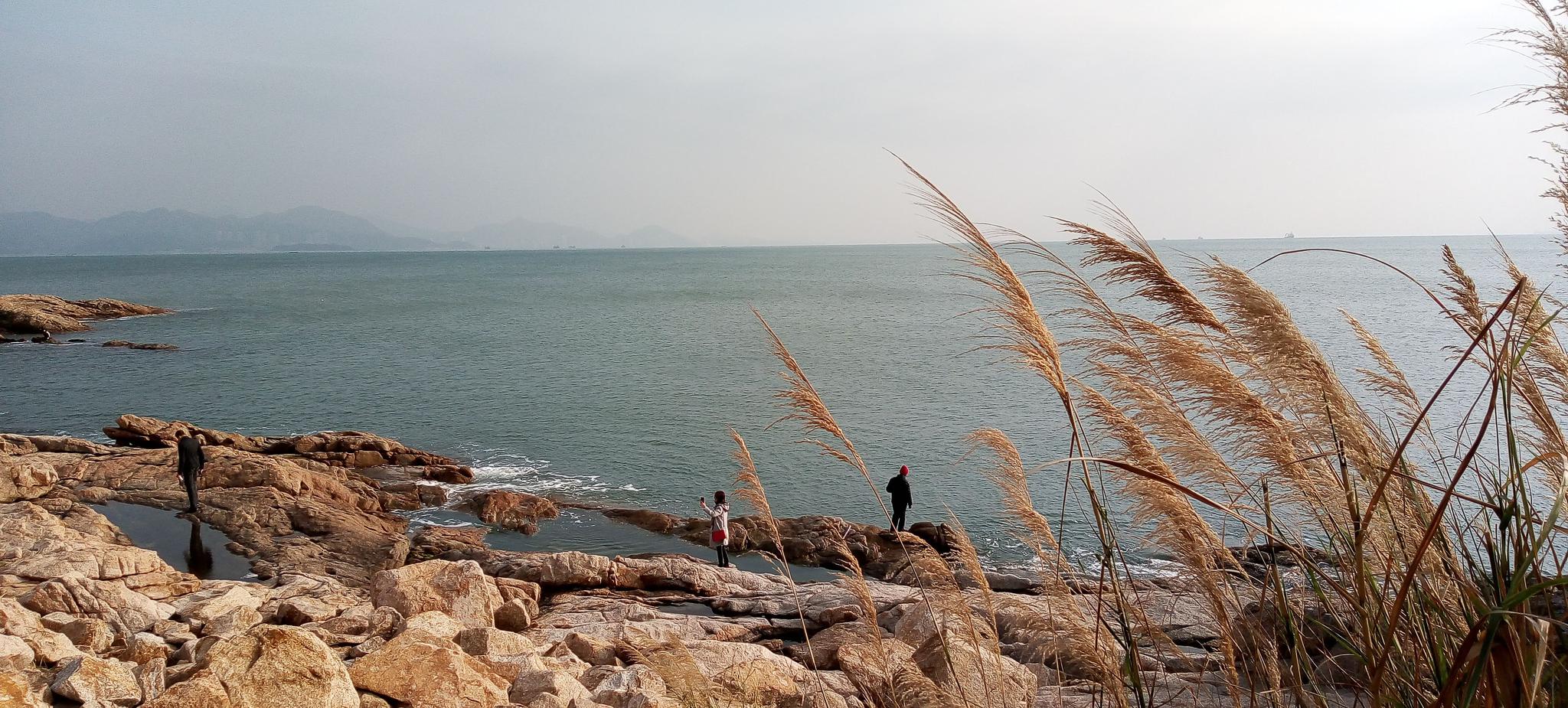 惠州大亚湾霞涌镇新建了一条海边栈道,你们去过吗?