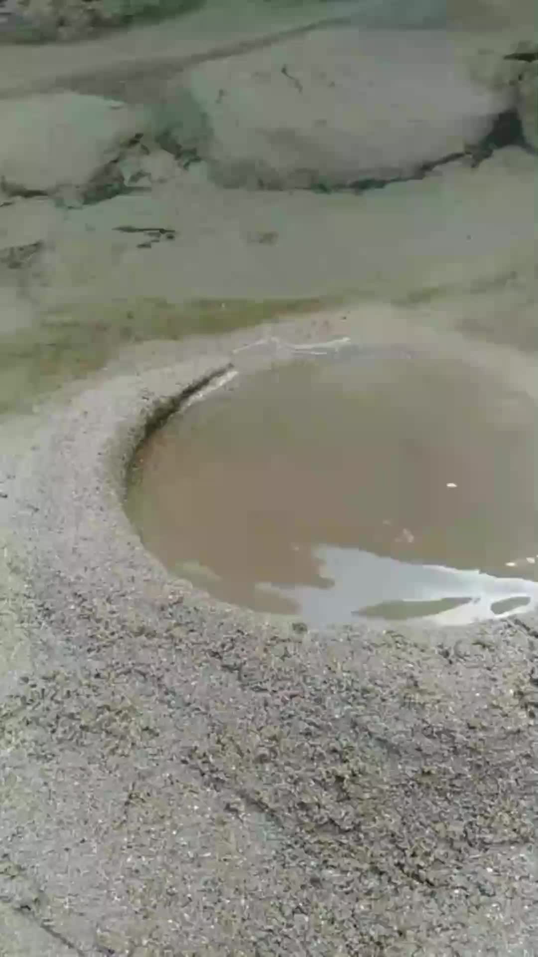 在河边发现了一个小水坑,一捞水,没想到还有意外收获