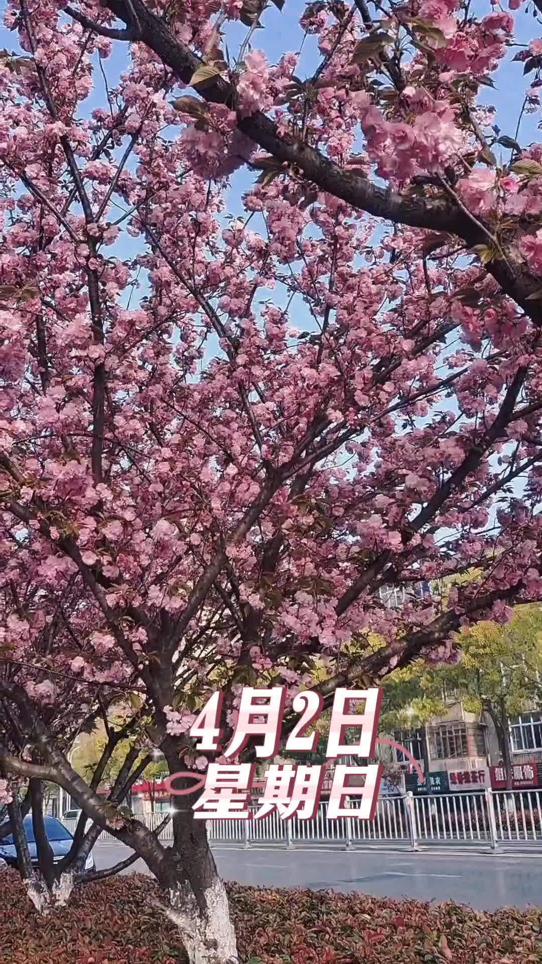 今日吉凶方位与幸运颜色