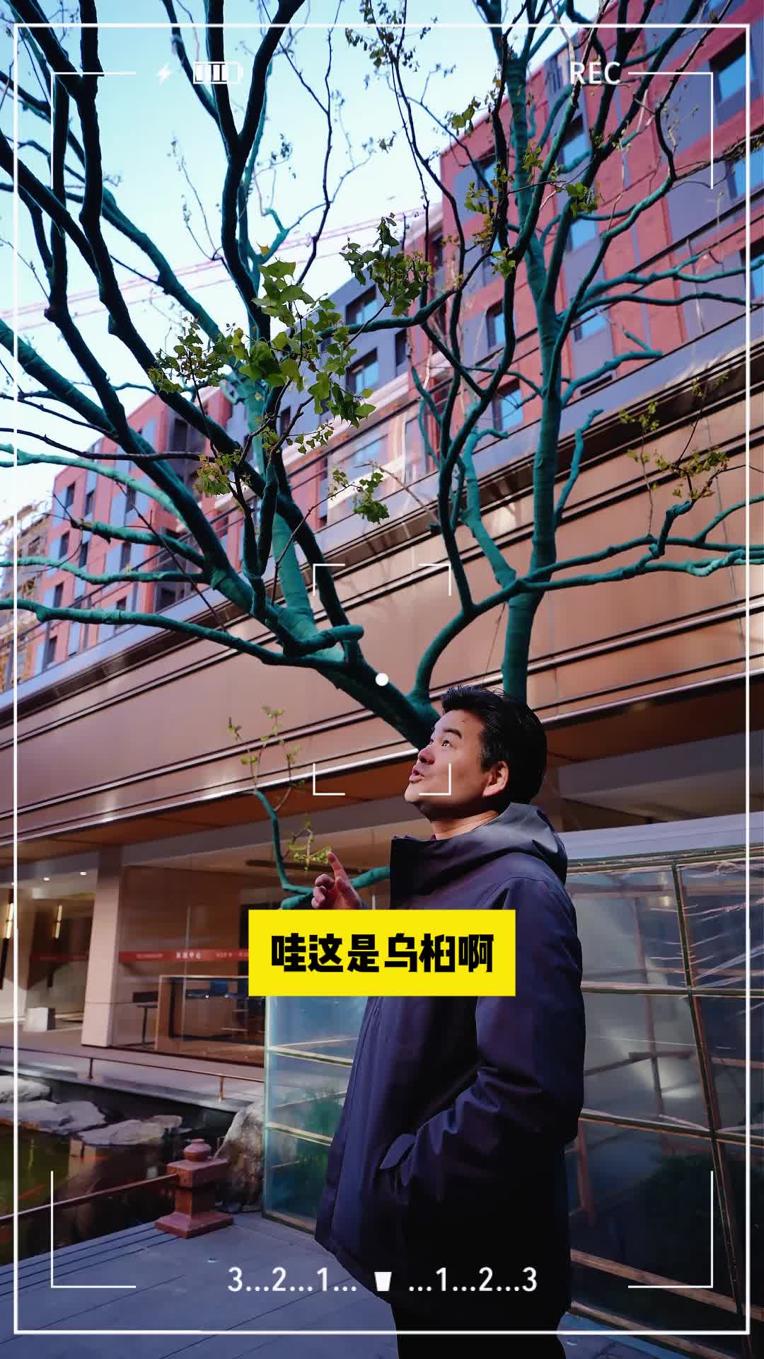 这个超尺度的楼盘，为何如此偏执！