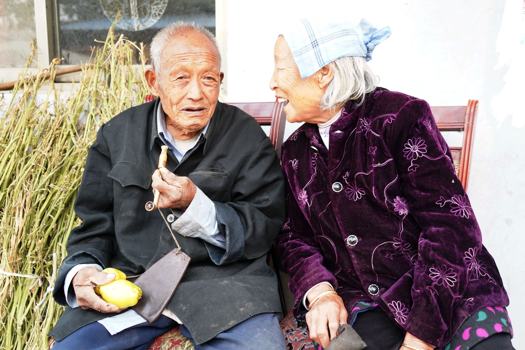 92岁爷爷偷偷下地割烟草90岁奶奶说抽了70多年烟管不了