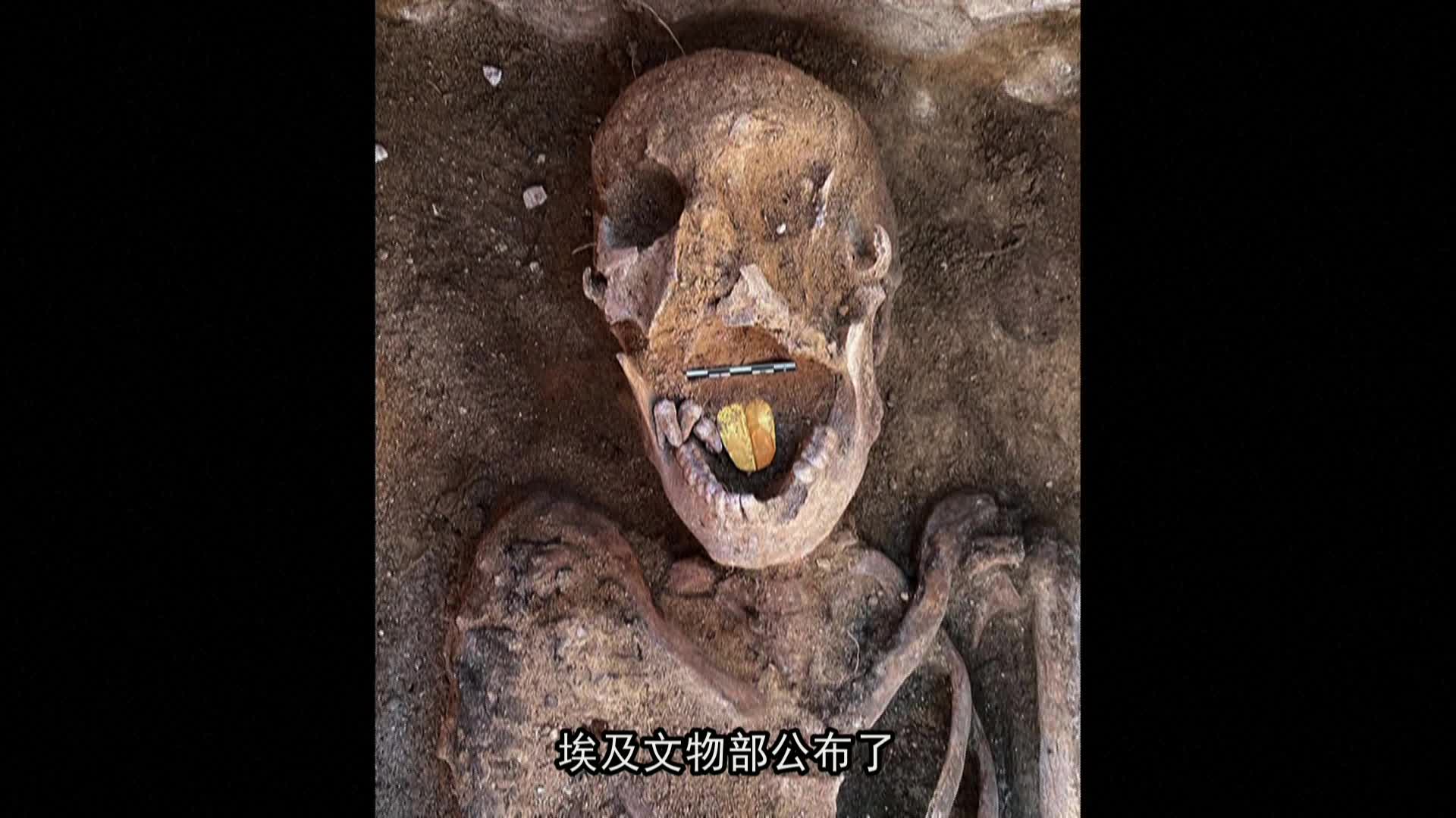 埃及出土2000年前"金舌"木乃伊