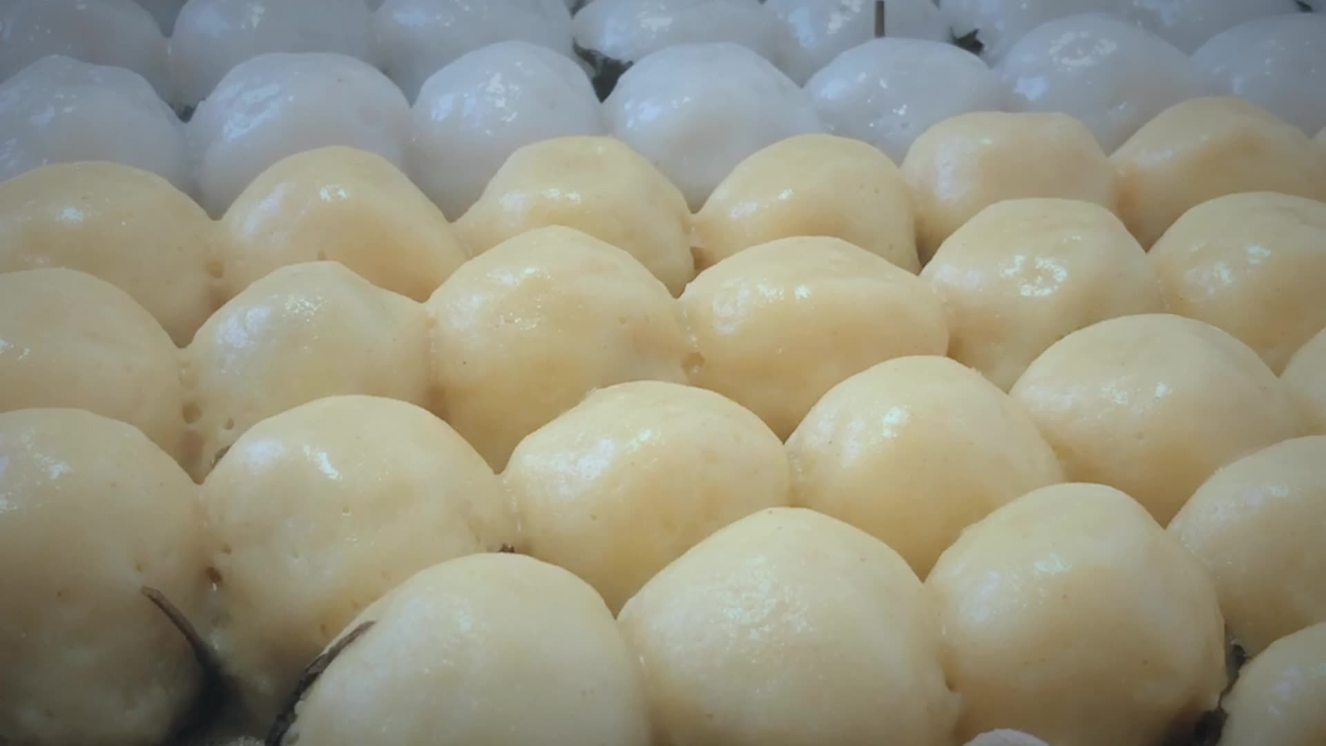 我家小孩都喜欢吃豆包哈哈哈哈哈哈