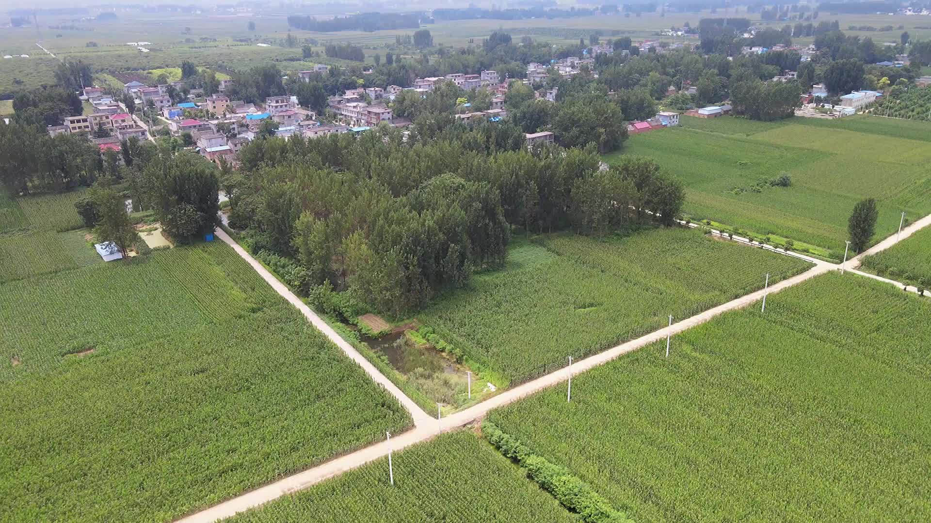 姜楼村,安徽省阜阳市界首市邴集乡西南部