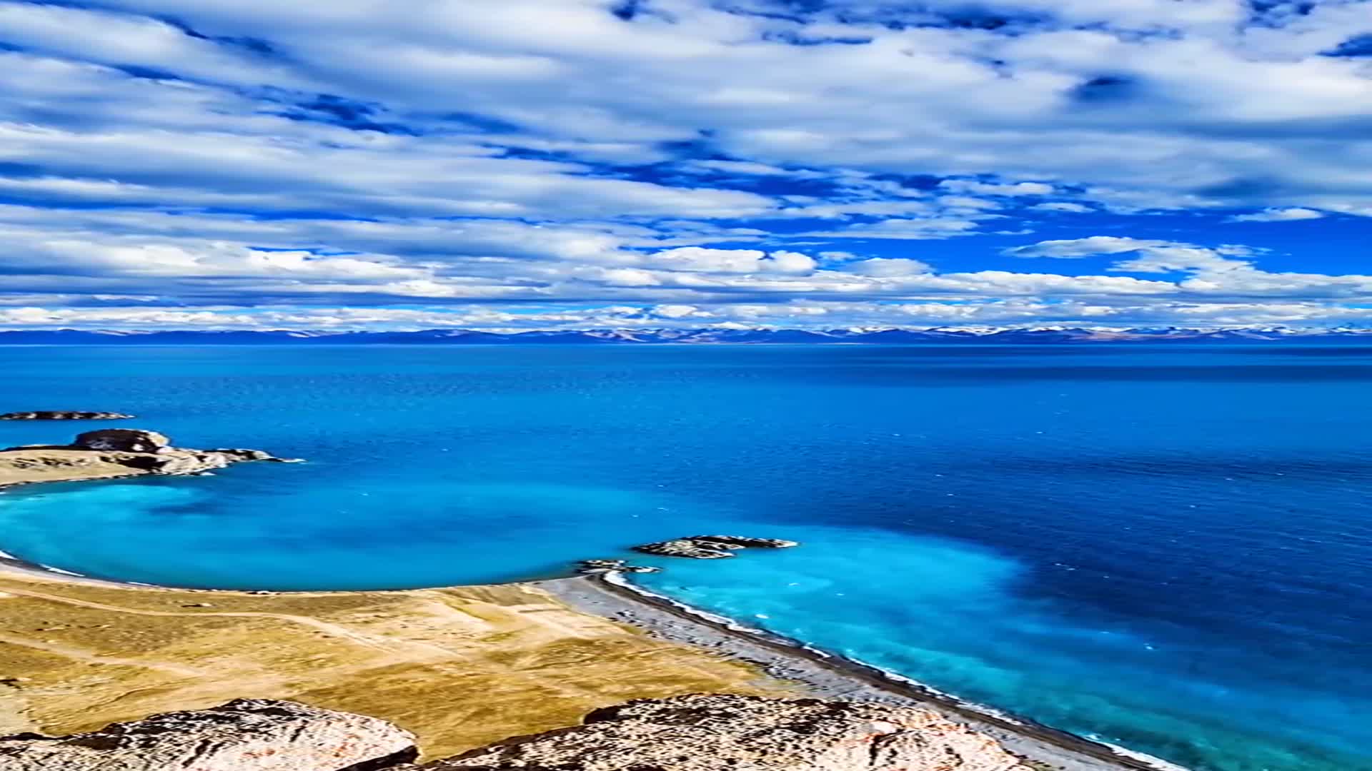 [茶理理理子]一首情歌《千本桜》就是舒心,赶快收藏吧