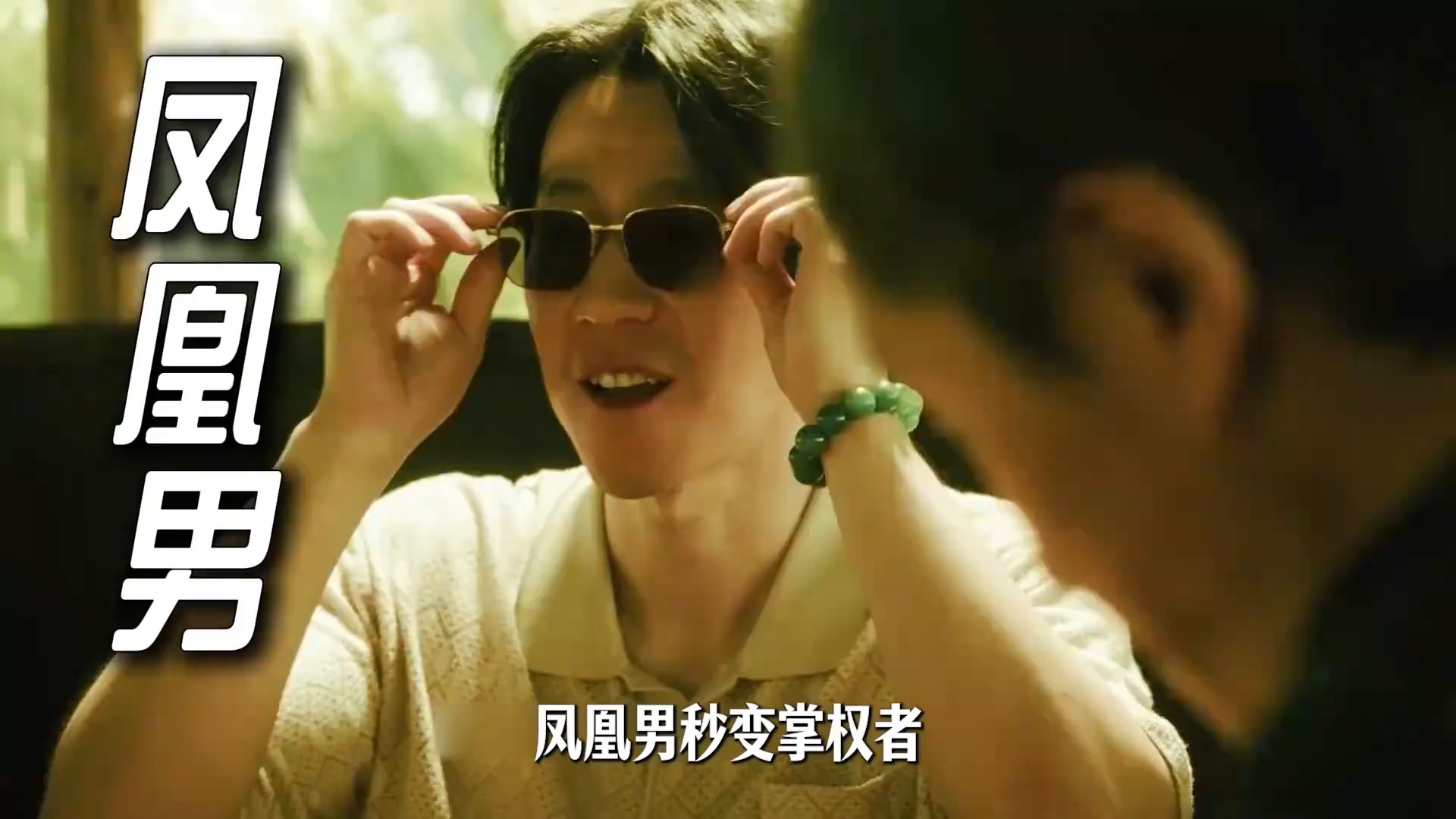 从赘婿到宛北掌权人，周少雄一路隐忍又狠毒《扫毒风暴》