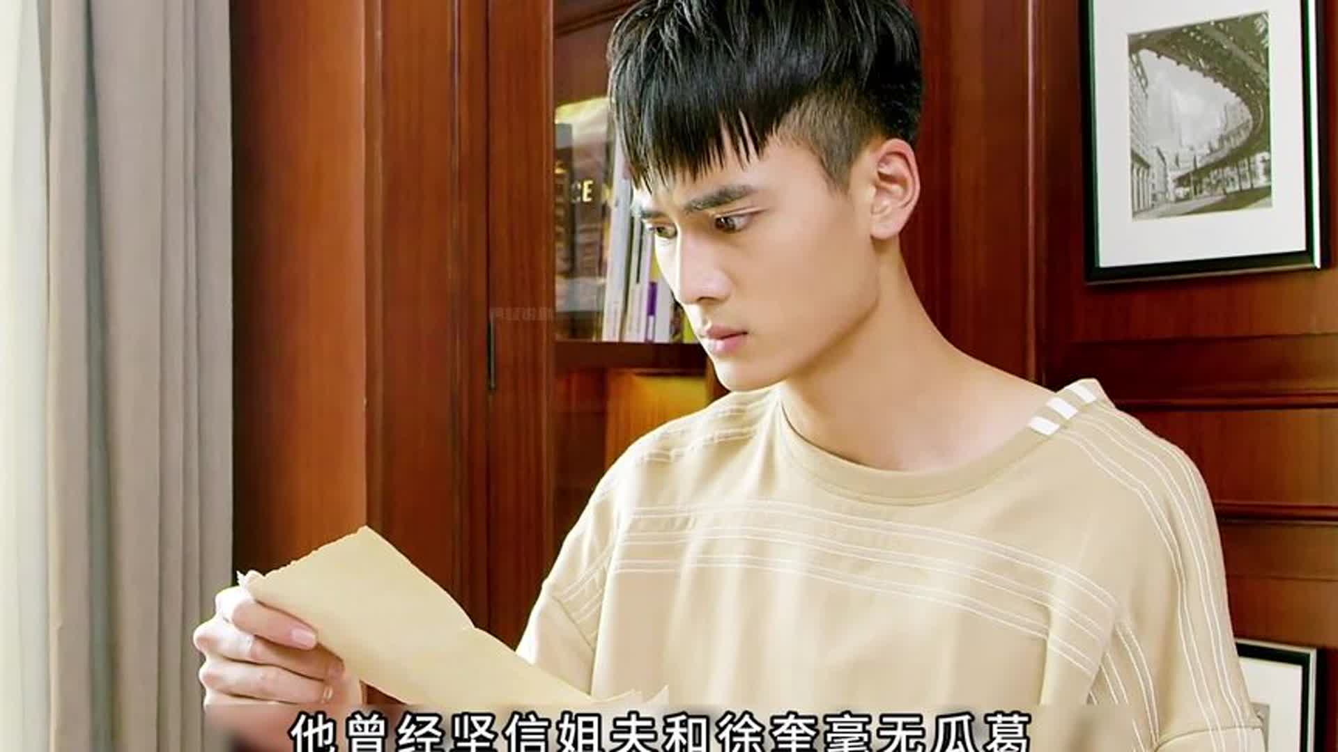 警察小舅子突然发现姐夫和毒枭有关联好剧推荐警匪