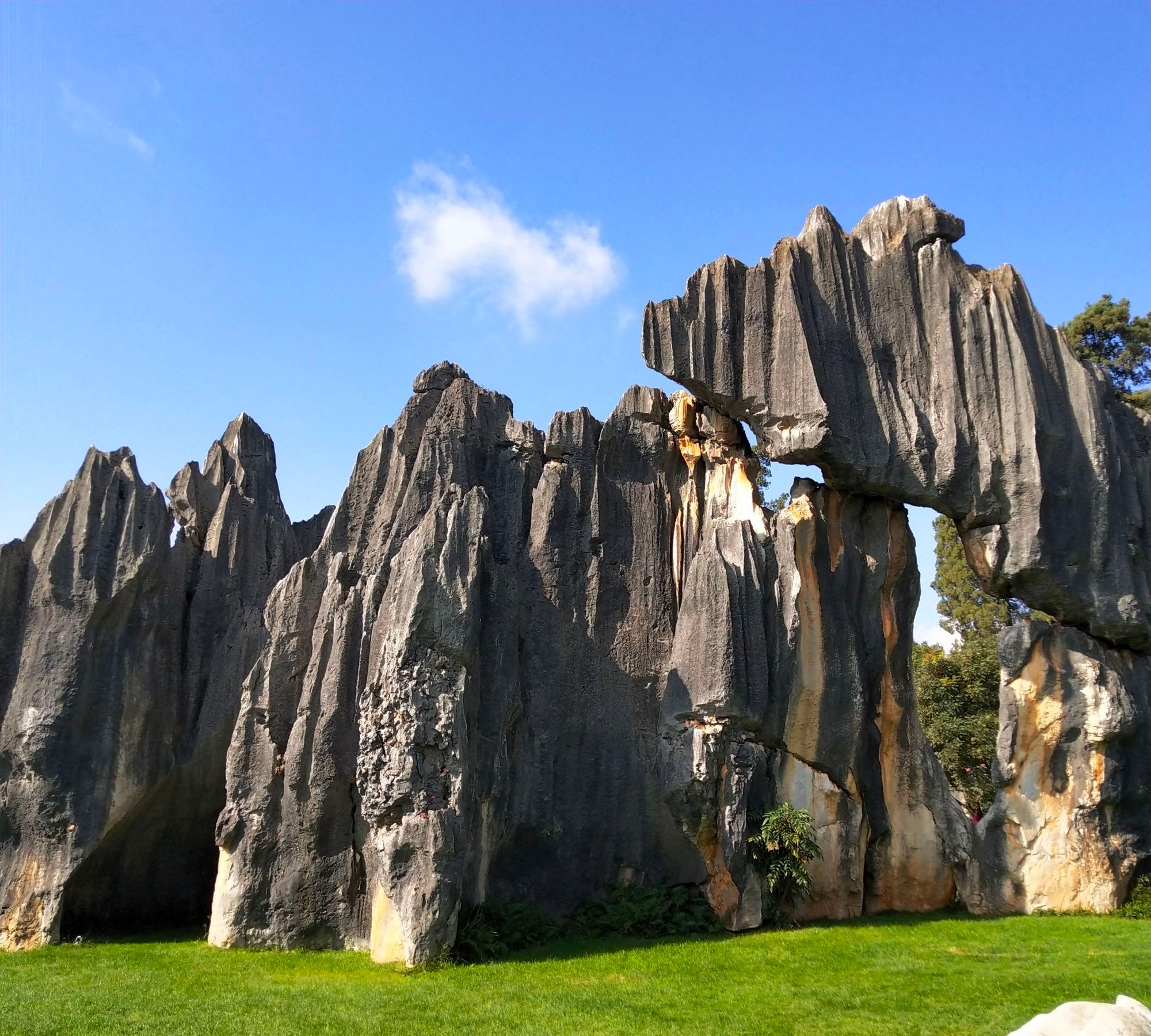 云南石林不愧为"天下第一奇观"