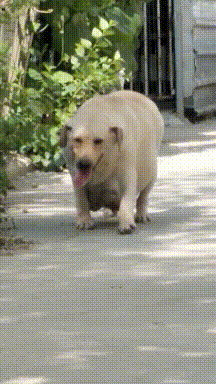 神回复：假如你女朋友发烧40度，你王者荣耀晋级赛刚开，怎么办？休闲区蓝鸢梦想 - Www.slyday.coM