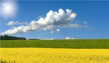 两首虞美人,真挚感人,李煜和辛弃疾的对决,令人心醉休闲区蓝鸢梦想 - Www.slyday.coM 两首虞美人,真挚感人,李煜和辛弃疾的对决,令人心醉休闲区蓝鸢梦想 - Www.slyday.coM