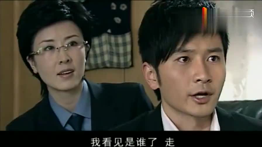 孽缘:决定性证据出现,汪海灵追寻证人,竟是个教授!