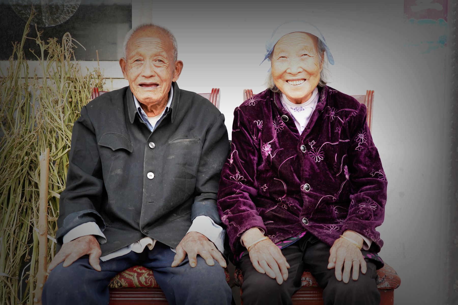 92岁爷爷偷偷下地割烟草90岁奶奶说抽了70多年烟管不了