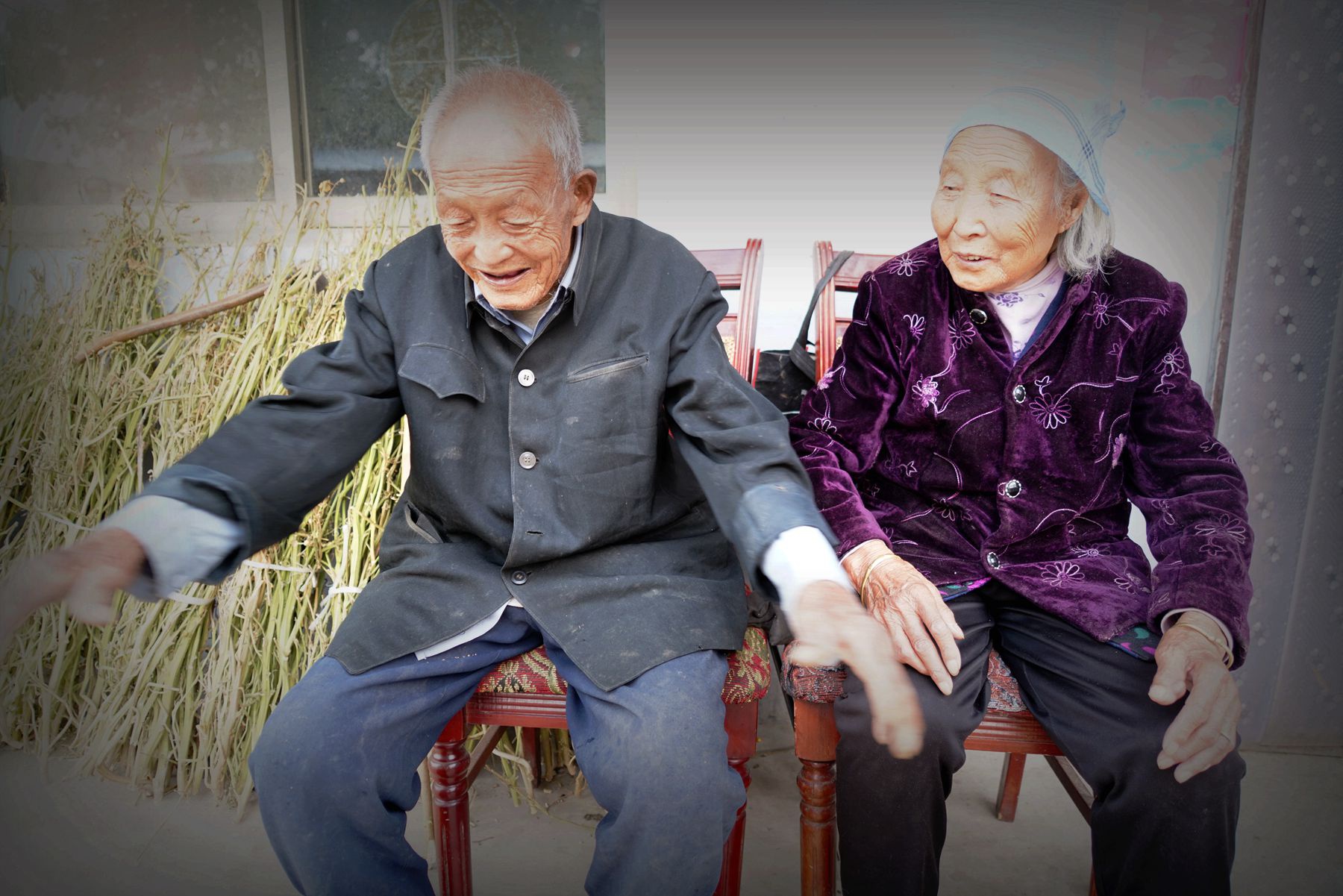 92岁爷爷偷偷下地割烟草90岁奶奶说抽了70多年烟管不了